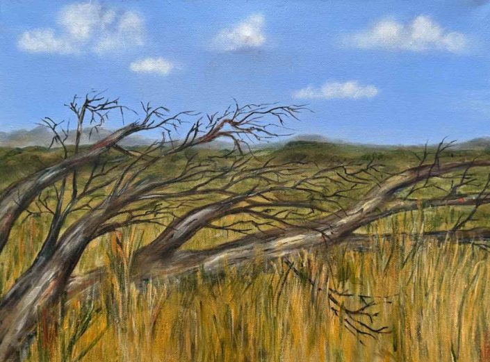 Ann-Byrne-Blue-Skies-