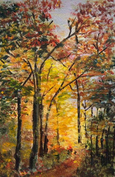 Ann-Byrne–Shimmer-