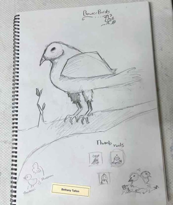 Bethany-Tallon-Age–12yrs-Visual-Diary–