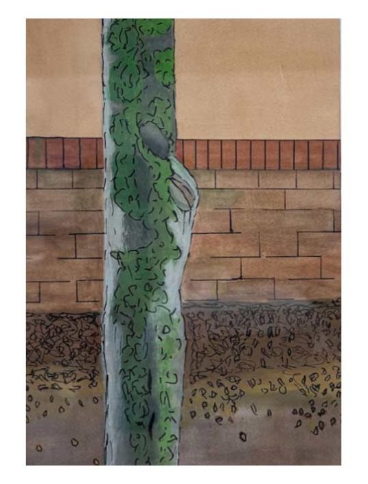 Carolyn–Pen-and-Watercolour-Study