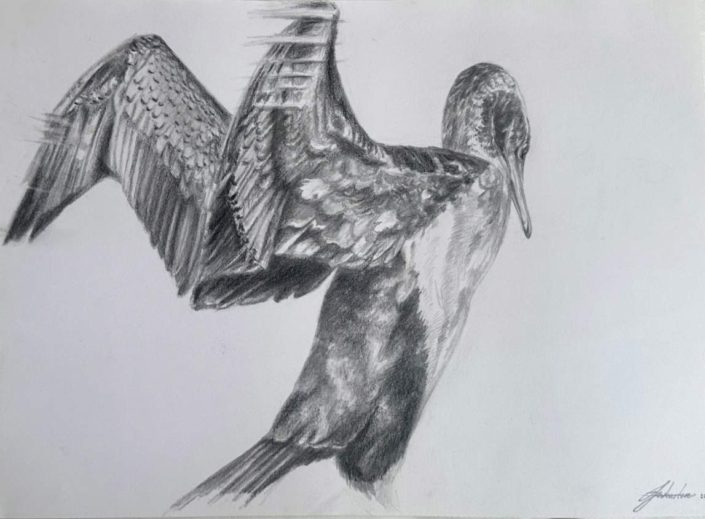 Jess-Wharton-@jessjiwharton–Flight-