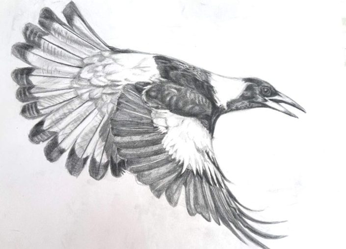 Jess-Wharton-@jessjiwharton-Flight-2