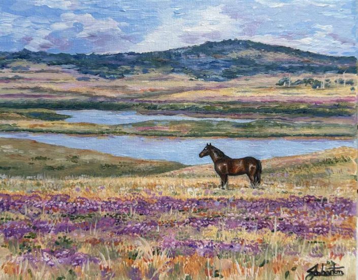 Jess-Wharton-@jessjiwharton-Freedom-