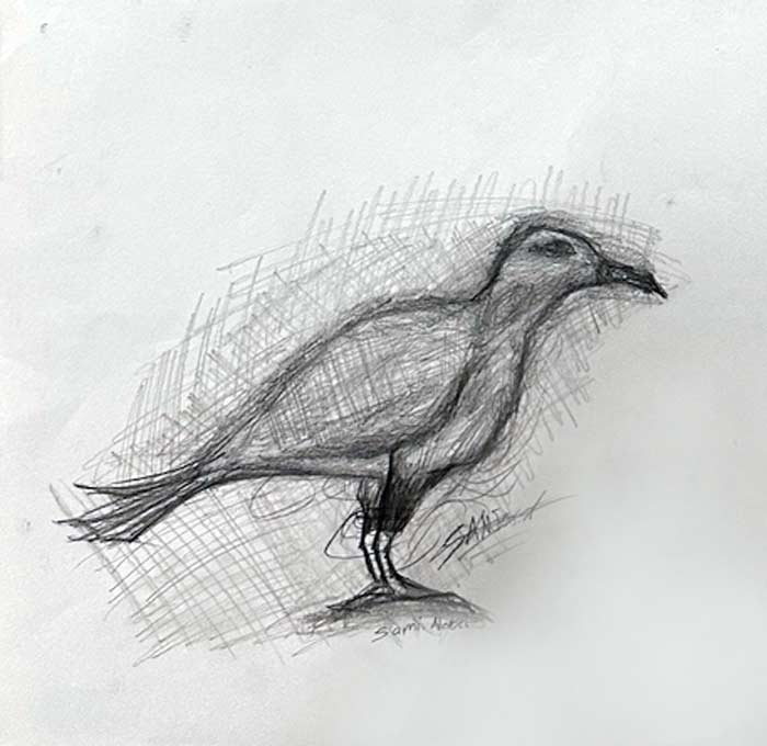 Sami-Alabri-(13yrs)- Charcoal